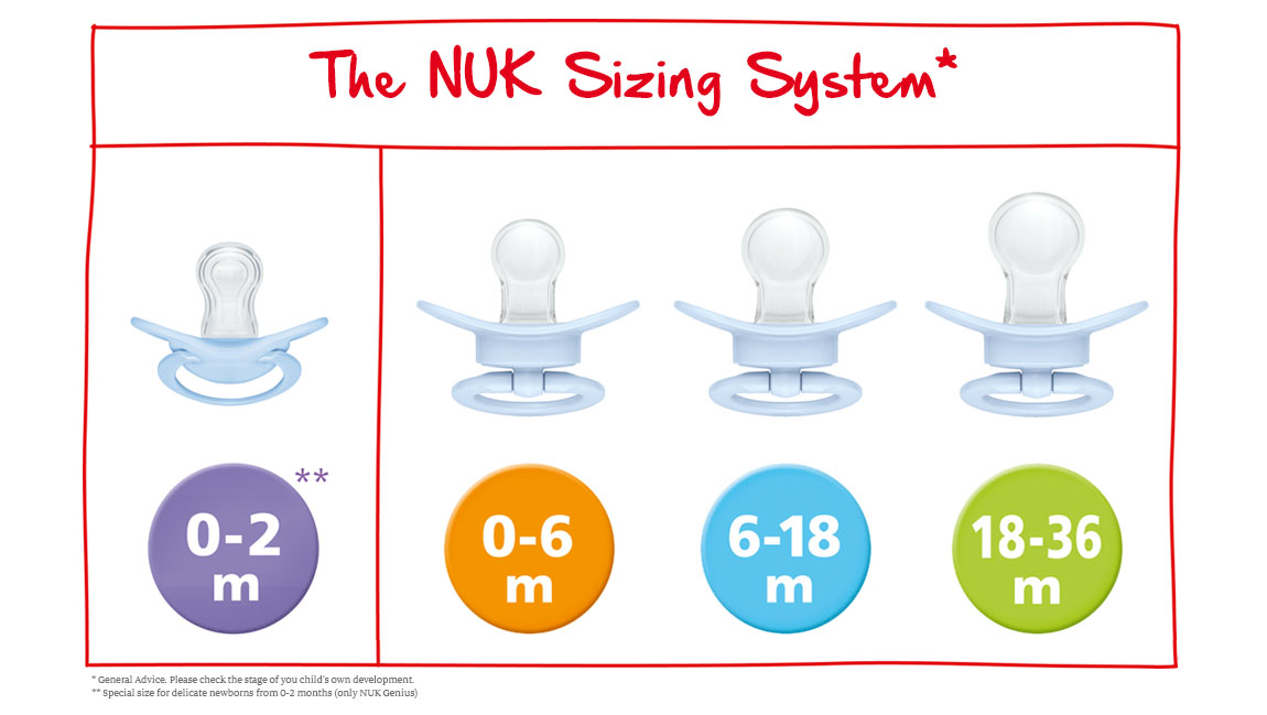 Nuk Flow Chart